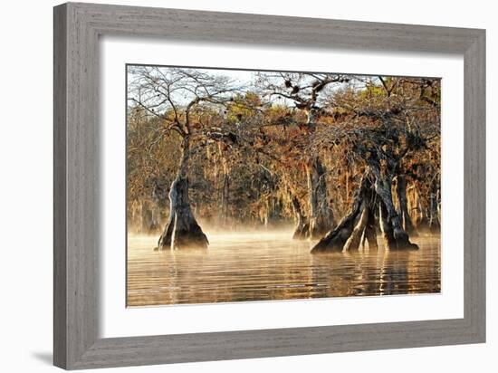 Cypress Creek I-Bruce Nawrocke-Framed Art Print