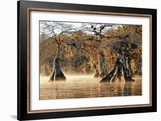 Cypress Creek I-Bruce Nawrocke-Framed Art Print