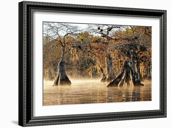 Cypress Creek I-Bruce Nawrocke-Framed Art Print