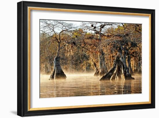 Cypress Creek I-Bruce Nawrocke-Framed Art Print