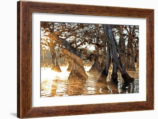 Cypress Creek II-Bruce Nawrocke-Framed Art Print