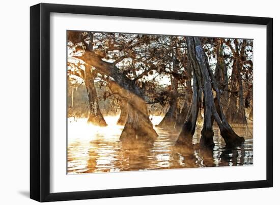 Cypress Creek II-Bruce Nawrocke-Framed Art Print