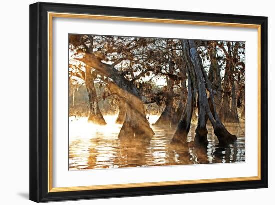 Cypress Creek II-Bruce Nawrocke-Framed Art Print