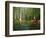 Cypress Gardens in South Carolina-James Randklev-Framed Photographic Print