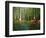 Cypress Gardens in South Carolina-James Randklev-Framed Photographic Print