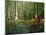 Cypress Gardens in South Carolina-James Randklev-Mounted Photographic Print