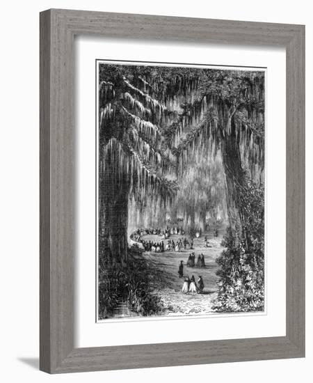 Cypress Grove at Chapultepec, Mexico City, 1877-null-Framed Giclee Print