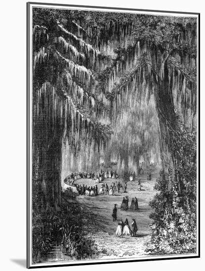 Cypress Grove at Chapultepec, Mexico City, 1877-null-Mounted Giclee Print