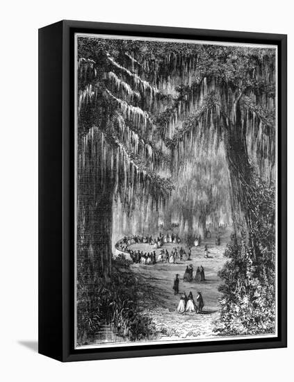 Cypress Grove at Chapultepec, Mexico City, 1877-null-Framed Premier Image Canvas