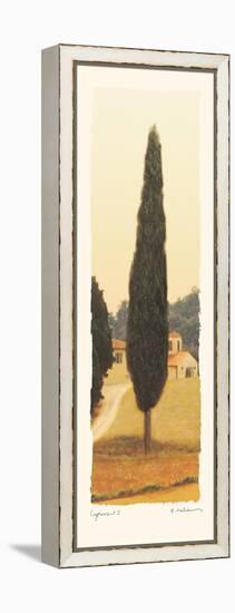 Cypress I-Amy Melious-Framed Stretched Canvas