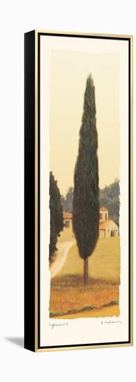 Cypress I-Amy Melious-Framed Stretched Canvas