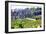 Cypress Landscape Umbria-Dorothy Berry-Lound-Framed Giclee Print