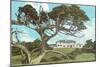 Cypress Point Golf Club, Pebble Beach, California-null-Mounted Art Print