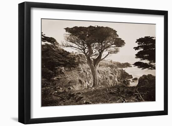 Cypress Point, Monterey, California, about 1880s-Carleton Watkins-Framed Art Print