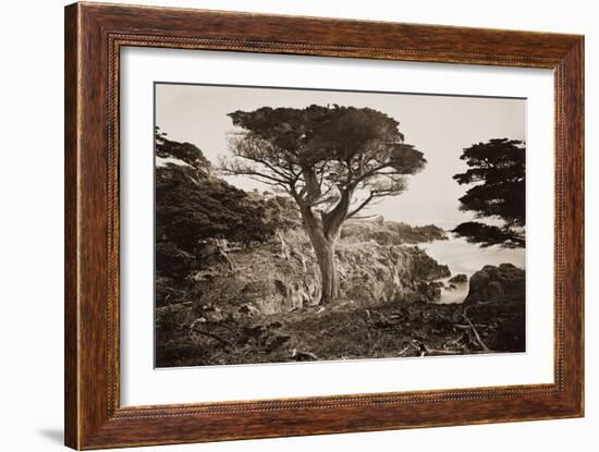 Cypress Point, Monterey, California, about 1880s-Carleton Watkins-Framed Art Print