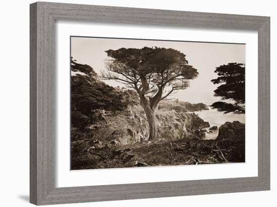 Cypress Point, Monterey, California, about 1880s-Carleton Watkins-Framed Art Print