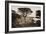 Cypress Point, Monterey, California, about 1880s-Carleton Watkins-Framed Art Print