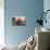 Cypress Point-Raymond D Yelland-Premium Giclee Print displayed on a wall