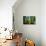 Cypress Pond I-Alan Hausenflock-Photo displayed on a wall