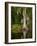 Cypress Reflected in Bayou Along Highway 61 on Stormy Summer Afternoon, New Orleans, Louisiana, Usa-Paul Souders-Framed Photographic Print