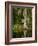 Cypress Reflected in Bayou Along Highway 61 on Stormy Summer Afternoon, New Orleans, Louisiana, Usa-Paul Souders-Framed Photographic Print