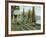 Cypress Shore-Longo-Framed Giclee Print
