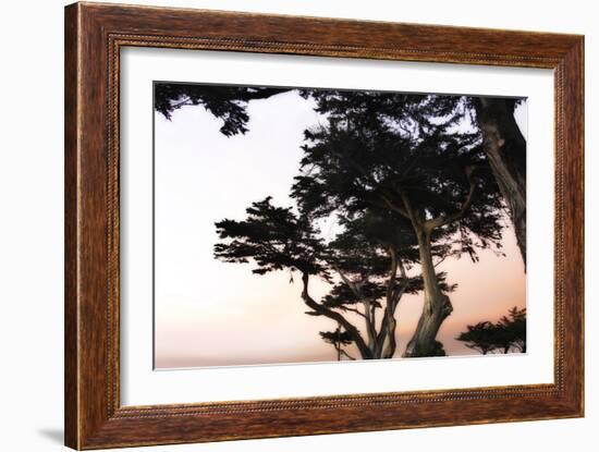 Cypress Silhouette 3-Alan Hausenflock-Framed Photographic Print