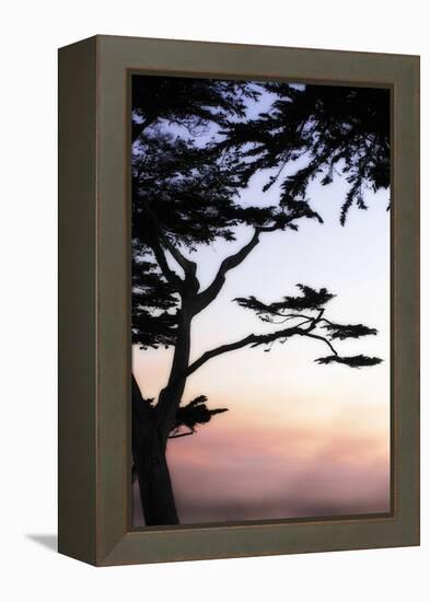 Cypress Silhouette 4-Alan Hausenflock-Framed Premier Image Canvas