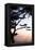 Cypress Silhouette 4-Alan Hausenflock-Framed Premier Image Canvas