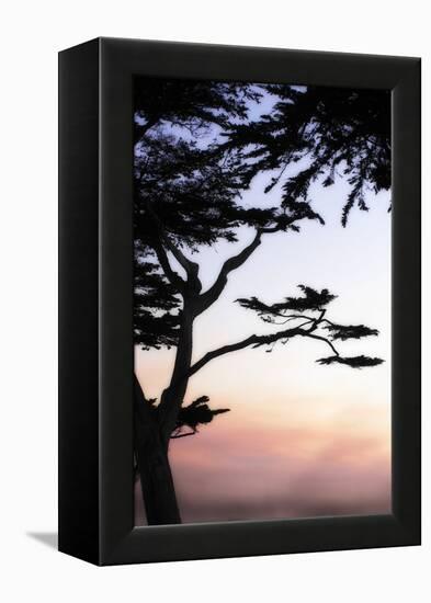 Cypress Silhouette 4-Alan Hausenflock-Framed Premier Image Canvas