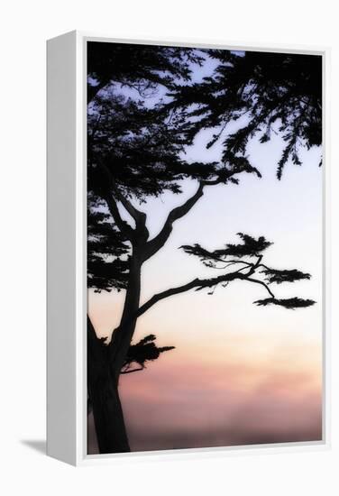 Cypress Silhouette 4-Alan Hausenflock-Framed Premier Image Canvas