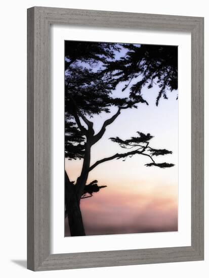 Cypress Silhouette 4-Alan Hausenflock-Framed Photographic Print