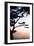 Cypress Silhouette 4-Alan Hausenflock-Framed Photographic Print