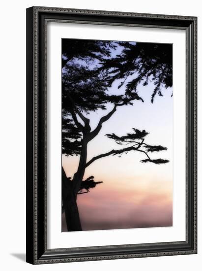 Cypress Silhouette 4-Alan Hausenflock-Framed Photographic Print