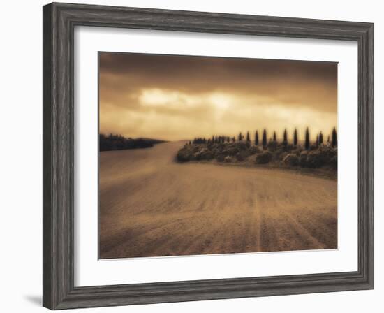 Cypress Study - Tuscany-Jamie Cook-Framed Giclee Print