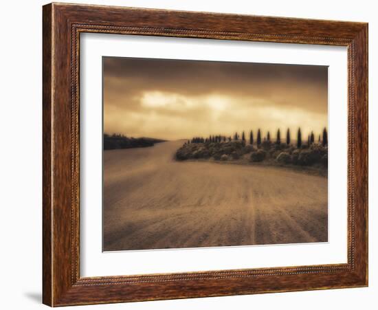 Cypress Study - Tuscany-Jamie Cook-Framed Giclee Print