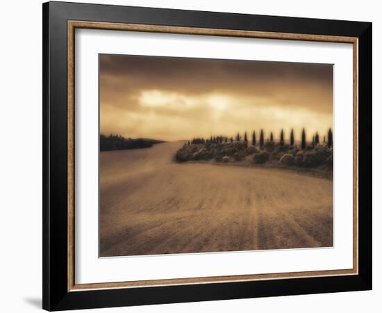 Cypress Study - Tuscany-Jamie Cook-Framed Giclee Print