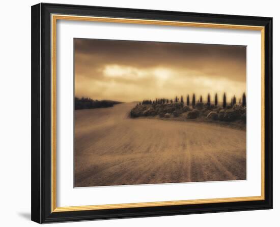 Cypress Study - Tuscany-Jamie Cook-Framed Giclee Print