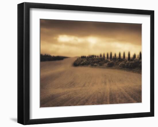 Cypress Study - Tuscany-Jamie Cook-Framed Giclee Print