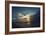 Cypress Sunrise II-Sebastien Lory-Framed Photographic Print