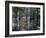 Cypress Swamp, Cypress Gardens, North Charleston, South Carolina, USA-James Green-Framed Photographic Print