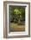 Cypress Swamp, Merchants Millpond State Park, North Carolina-Paul Souders-Framed Photographic Print