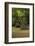 Cypress Swamp, Merchants Millpond State Park, North Carolina-Paul Souders-Framed Photographic Print