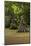 Cypress Swamp, Merchants Millpond State Park, North Carolina-Paul Souders-Mounted Photographic Print