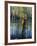 Cypress Tree and Bladderwort Flowers in Swamp-James Randklev-Framed Photographic Print