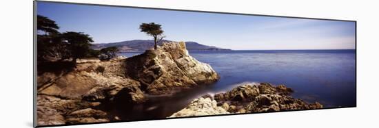 Cypress Tree at the Coast, the Lone Cypress, 17 Mile Drive, Carmel, California, USA-null-Mounted Photographic Print