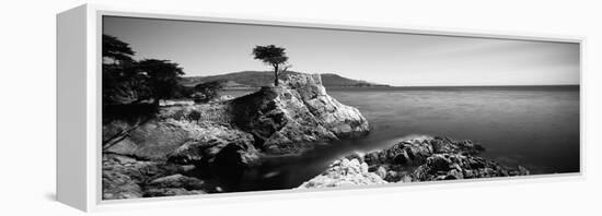 Cypress Tree at the Coast, the Lone Cypress, 17 Mile Drive, Carmel, California, USA-null-Framed Stretched Canvas