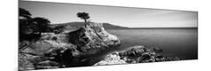 Premium Photographic Print