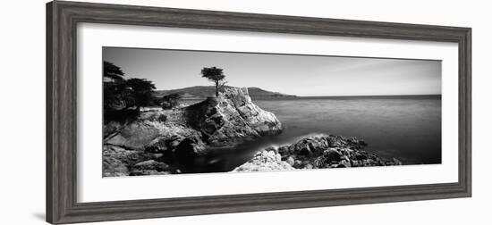 Cypress Tree at the Coast, the Lone Cypress, 17 Mile Drive, Carmel, California, USA-null-Framed Photographic Print