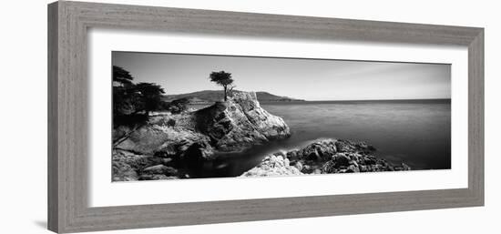 Cypress Tree at the Coast, the Lone Cypress, 17 Mile Drive, Carmel, California, USA-null-Framed Photographic Print